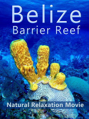 Belize Barrier Reef: Natural Relaxation Movie