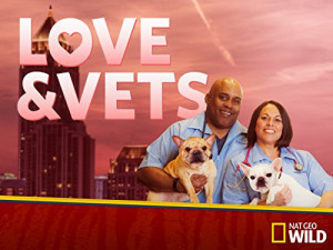Love and Vets
