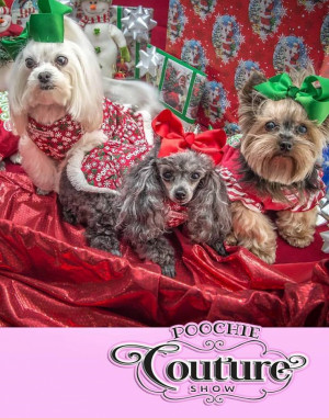 The Poochie Couture Show