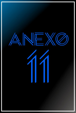 Anexo 11