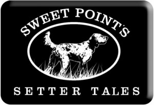 Sweet Point's Setter Tales