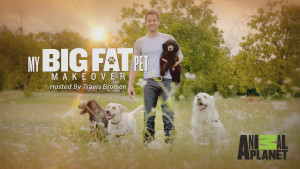 My Big Fat Pet Makeover