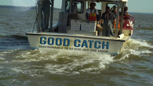 Good Catch