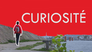 Curiosité