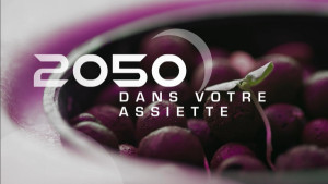 2050 dans votre assiette