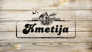 Kmetija
