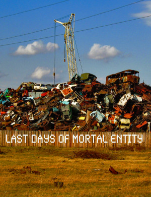 Last Days of Mortal Entity