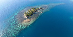 Island Hunter