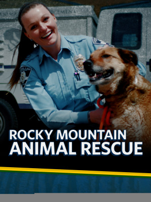 Rocky Mountain Animal Rescue