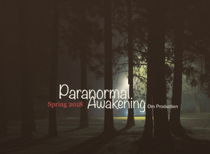 Paranormal Awakening
