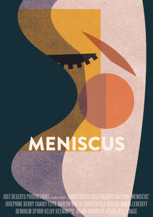 Meniscus