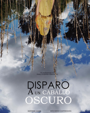 Disparo A Un Caballo Oscuro