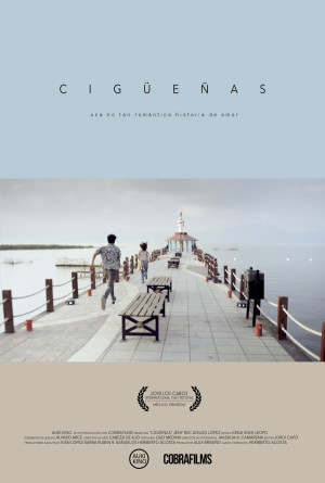 Cigüeñas