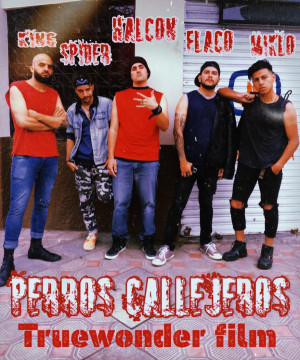 Perros Callejeros