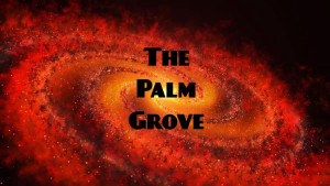 The Palm Grove