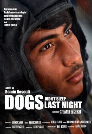 Dogs didn't sleep last night