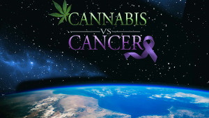 Cannabis v.s Cancer