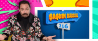 Saskinbakkal 216