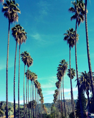 What's Happening in LA