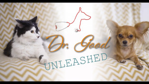 Dr. Good Unleashed