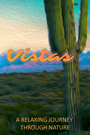 Vistas