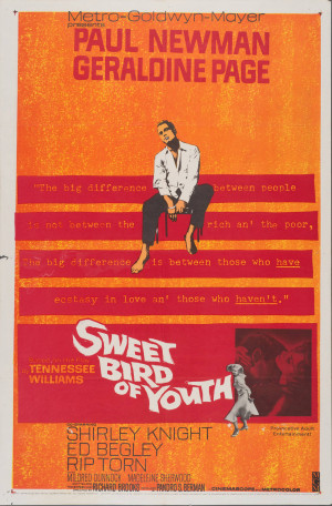 Sweet Bird of Youth