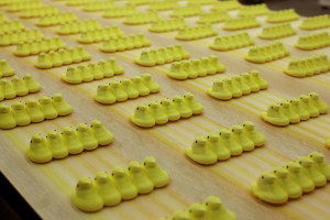 Food Network 360: Behind the Sweet