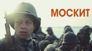 Mosquito