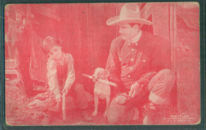 The Wyoming Wildcat