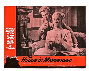 The House in Marsh Road