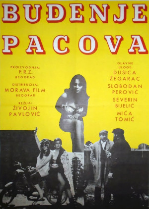 Budjenje pacova