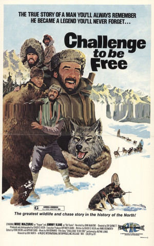 Challenge to Be Free