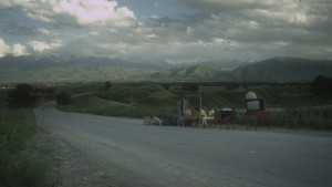 Ukkili kamshat