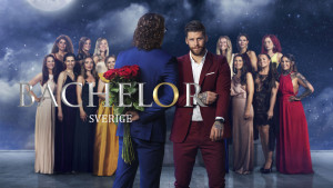 Bachelor