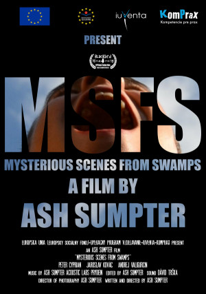 Mysterious Scenes from Swamps