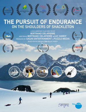 The Pursuit of Endurance
