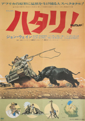 Hatari!