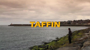 Taffin: The Series