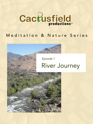 Meditation & Nature: River Journey