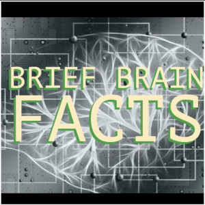 Brief Brain Facts