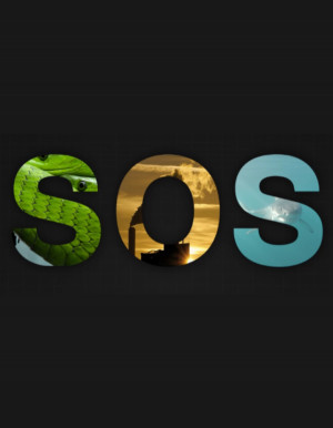 Survival of the Species