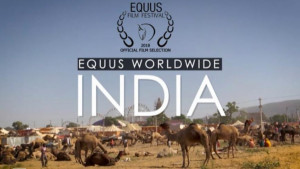 Equus Worldwide India
