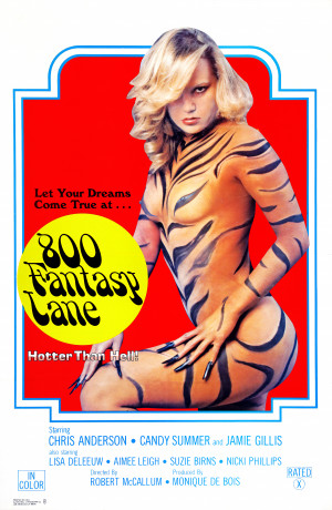 800 Fantasy Lane