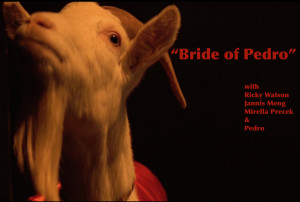 Bride of Pedro