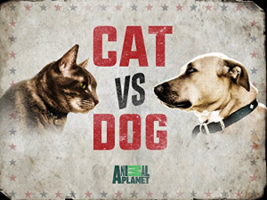Cat Vs. Dog