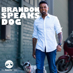 Brandon Speaks Dog