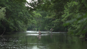 Untamed Anglers: Britains Iconic Fish