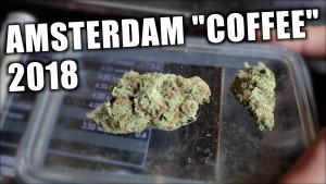 The Amsterdam Vlog