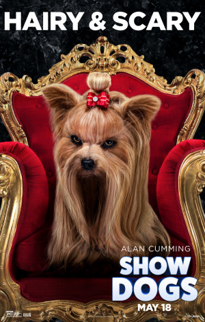 Show Dogs