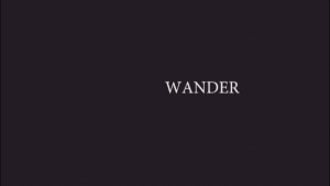 Wander